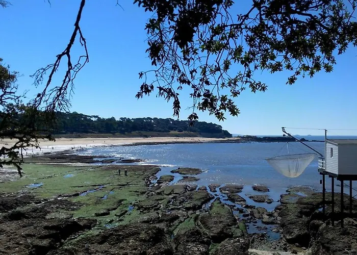 公寓 De Palais 滨海圣帕莱